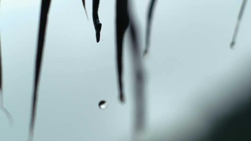Water droplets dripping in slow motion off long narrow pointy leaves
