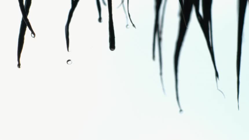 Water droplets falling in slow motion off long narrow pointy leaves