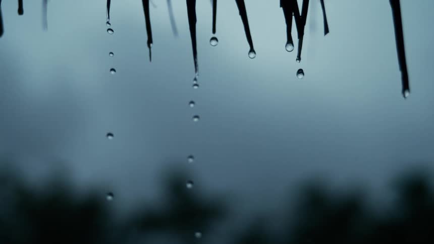 Raindrops fall from what appears to be the edge of a thatched roof or similar natural overhang with a blurred dark background suggesting distant foliage the focus is on the individual drops as they form and release creating a calming visual effect
