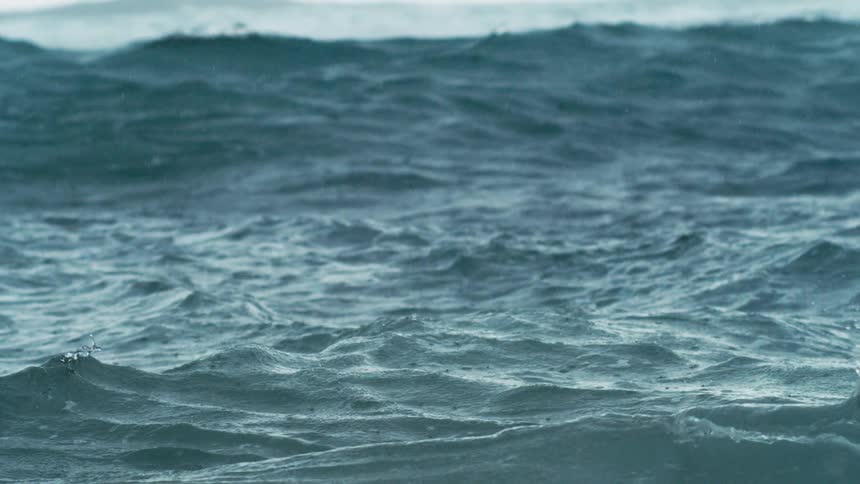 Large ocean waves surges through rainstreaked air with mist and droplets scattering across its dark choppy surface