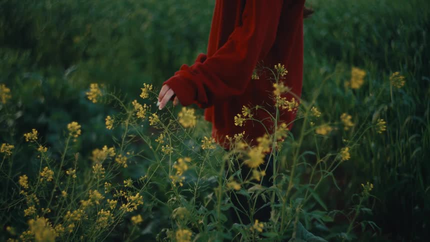 A girl walks in the tall grass and touches a flower