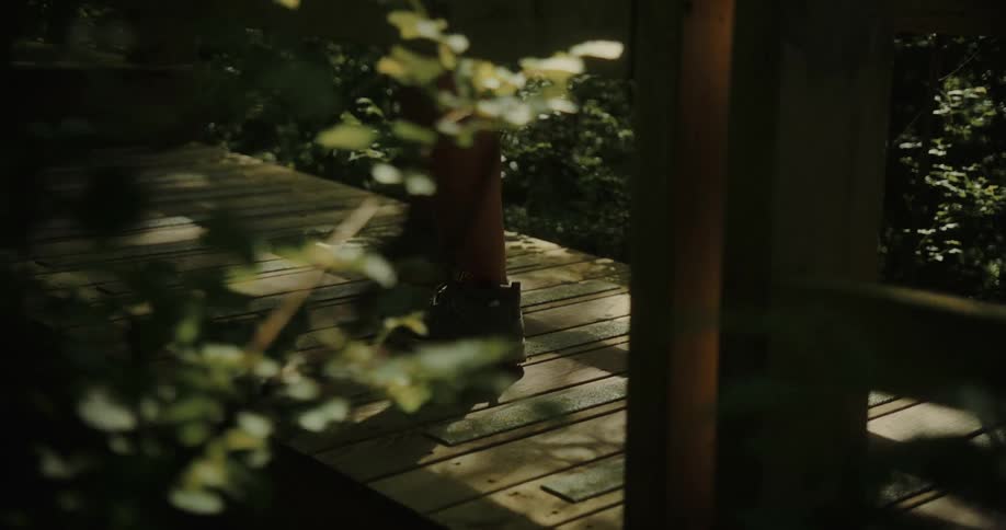 Legs of a person walking across a wooden bridge in the forest