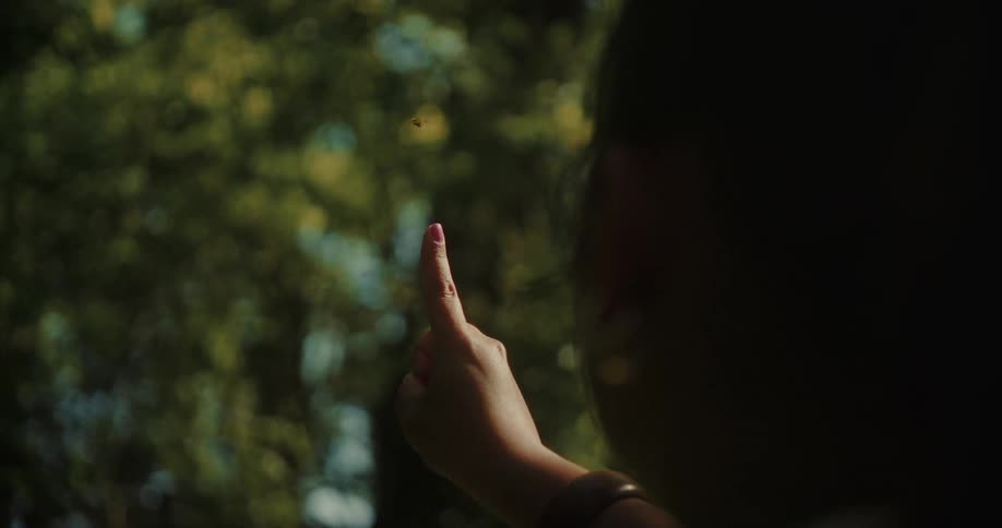 A persons hand with a bracelet extends their index finger towards a small flying insect possibly a bee or wasp against a blurred green background of trees the insect hovers briefly near the fingertip before flying away