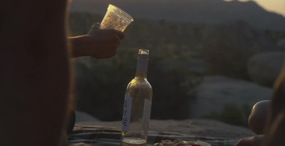People are drinking alcohol at a picnic