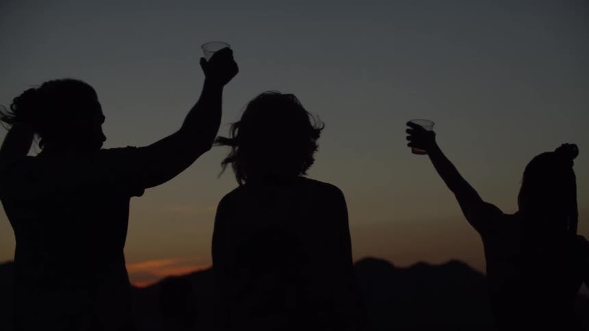 Friends silhouetted against a sky showing an after glow raise their glasses