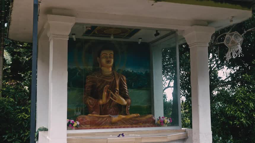 A statue is positioned under a covering outside