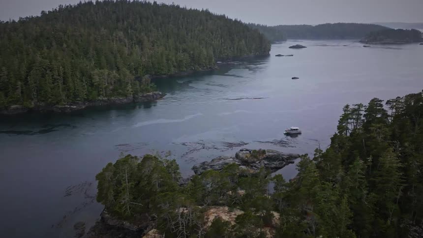 Aerial shot of a river surrounded by mountains with coniferous forests