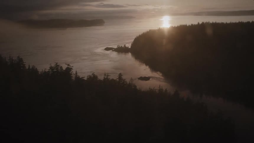 Wooded coastline by the sea with sunrise on the horizon