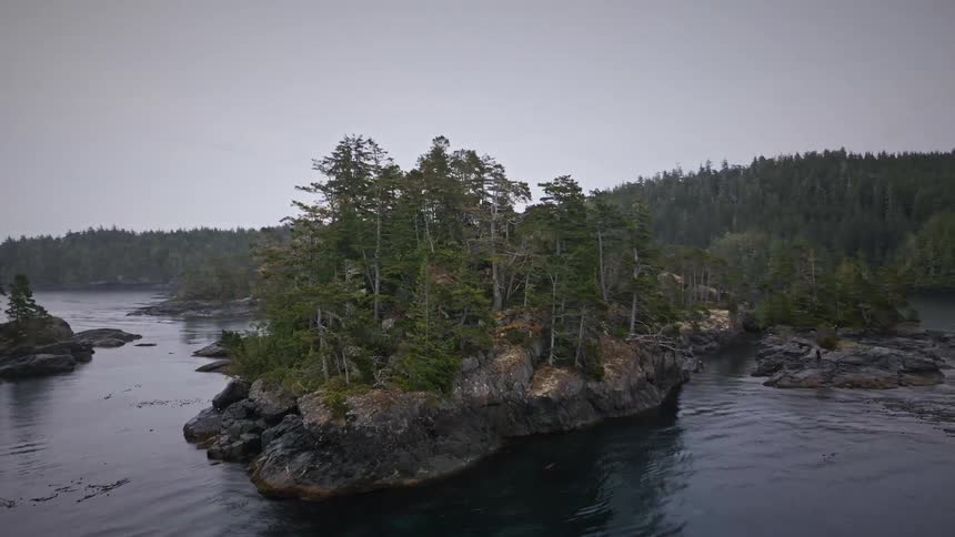 The land on the islands are covered with trees