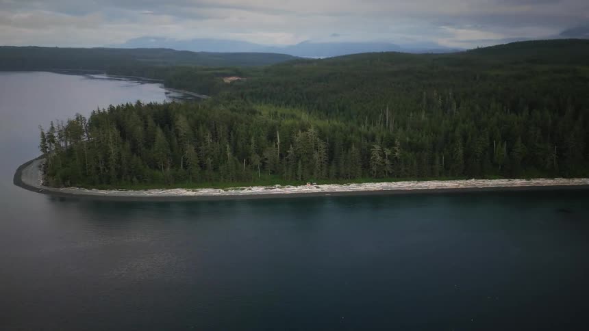 Aerial of a coastal forest landscape during daytime