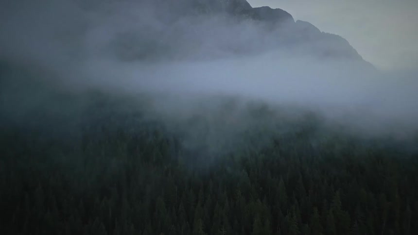 Heavy clouds are on the trees lining the mountain