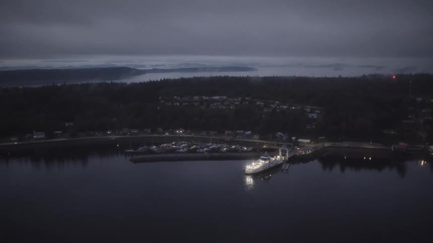 Urban city in a forested area by the sea