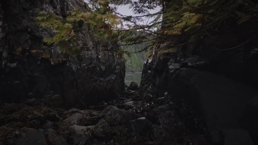 A rocky forest canyon leads to a stream under a cloudy sky