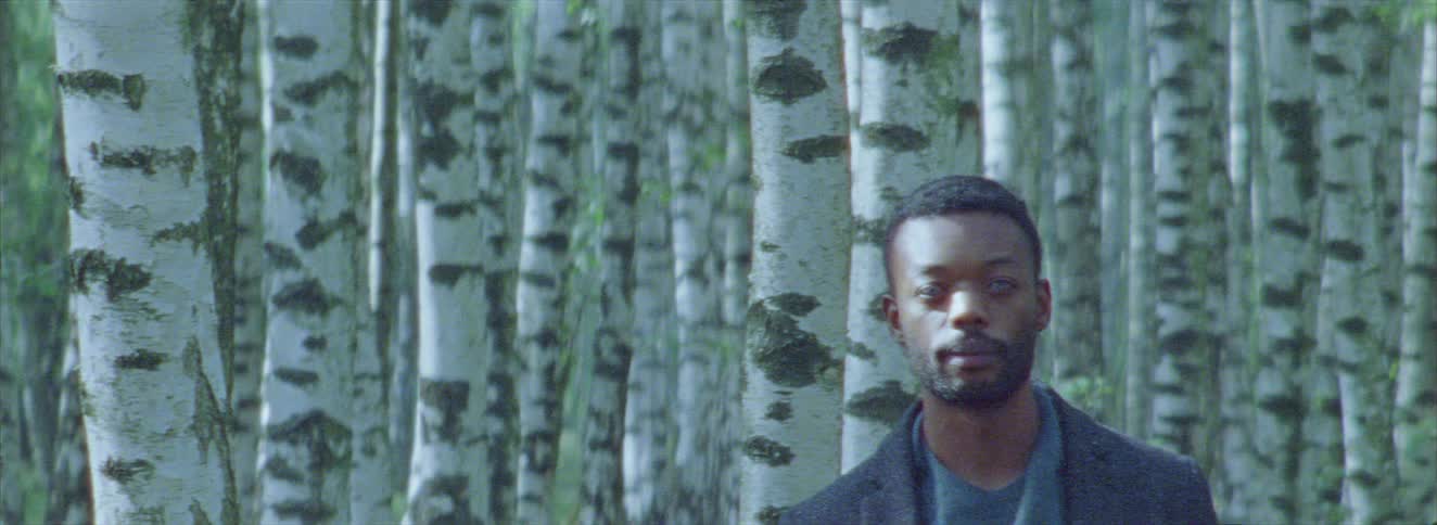 Close up portrait of a young black man walking through a woodland area during daytime