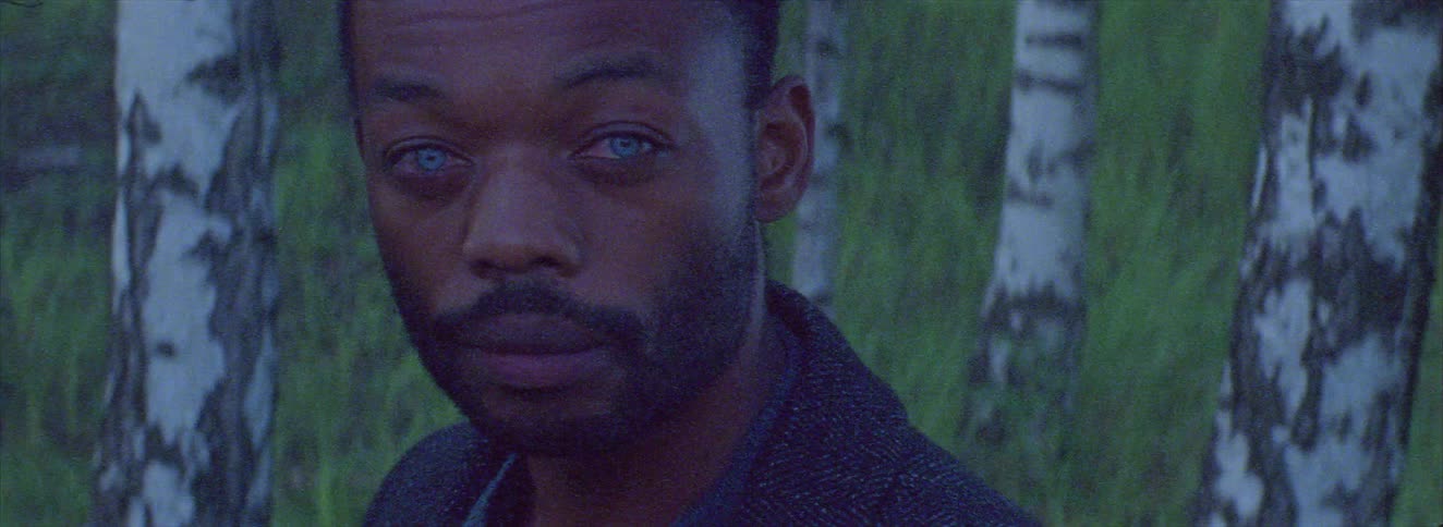 Flashes of light on the face of a blueeyed man in a natural setting