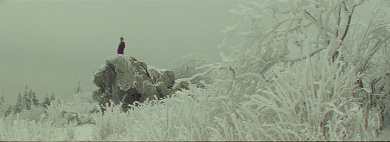 A woman stands on a large rock in the frozen area
