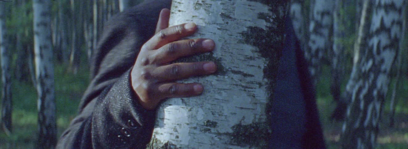 A man walks through the forest
