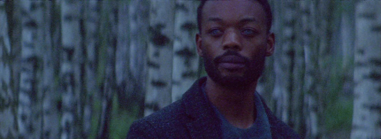 Blueeyed man in a forest