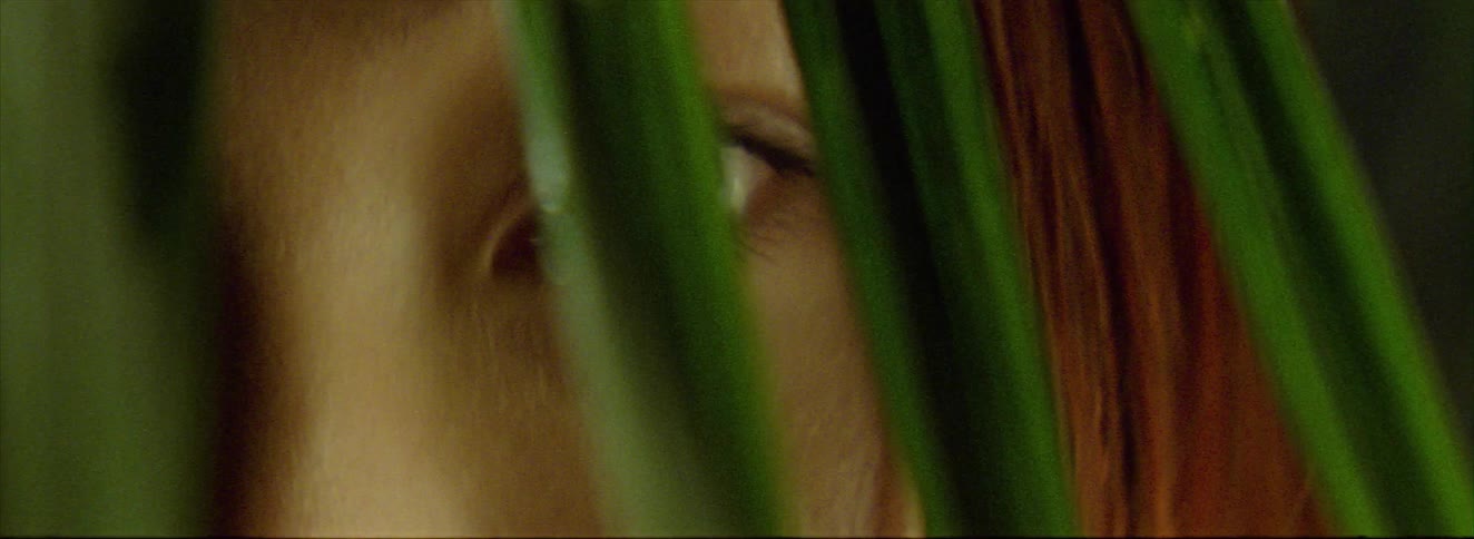 The leaves hang over the womans face
