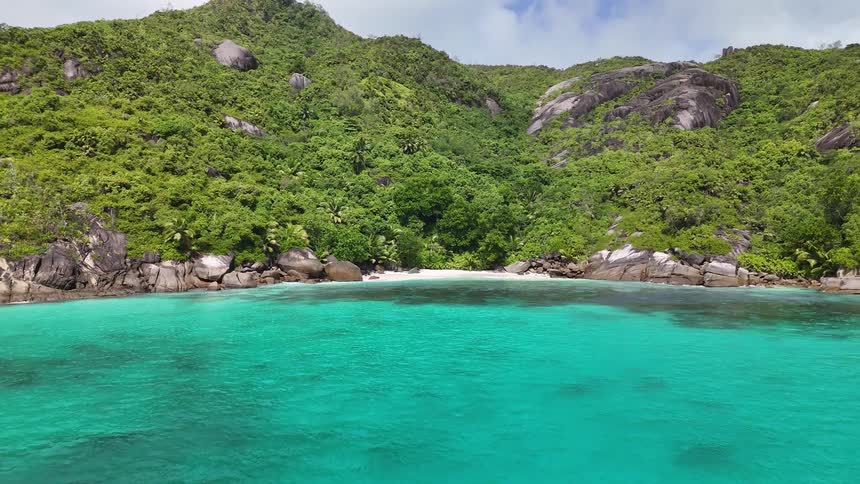 Turquoise blue sea on the edge of the wooded coast