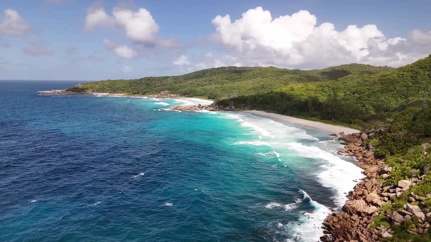 A white bird flies on the coast of the island