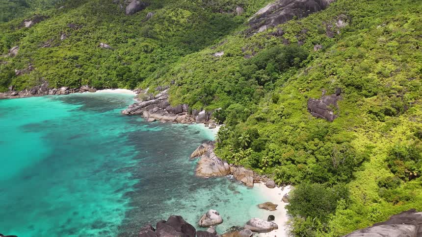 The island cove is lined with trees