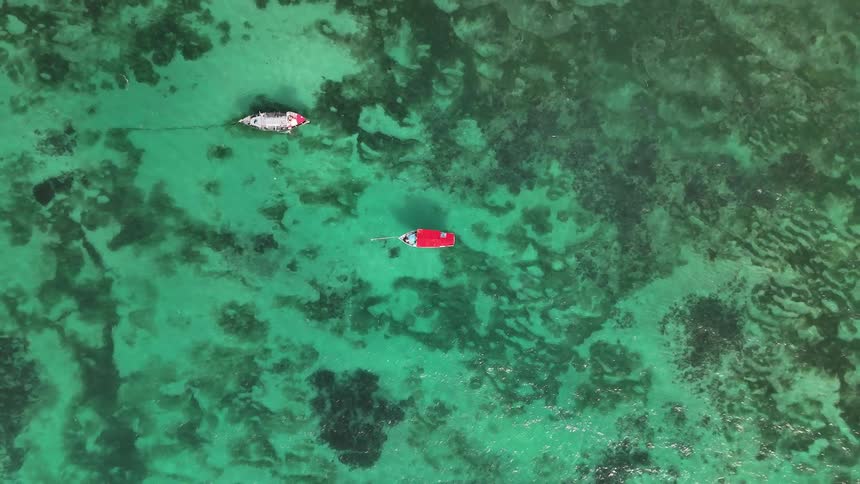 Two small boats in a greenish archipelago