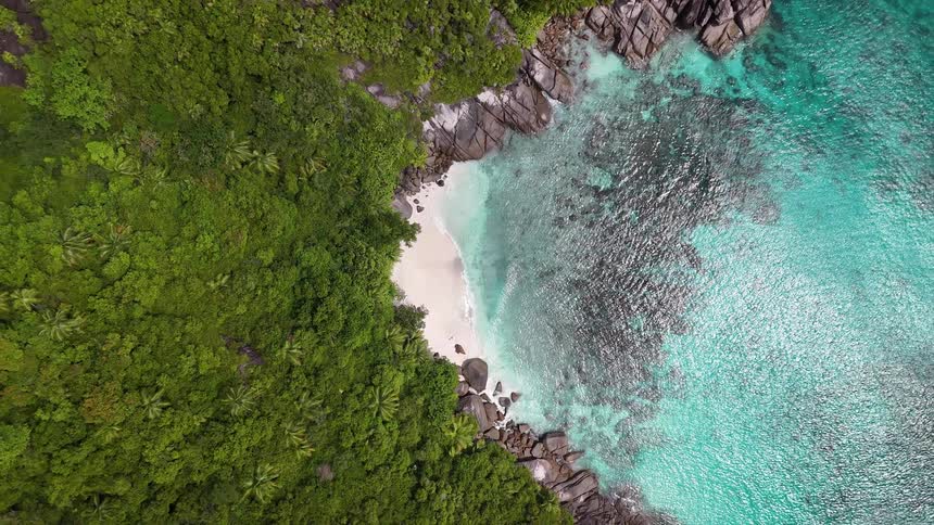 Turquoise blue beach on a forested mountain