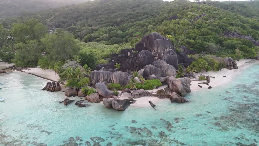 A rocky island surrounded by forest and vegetation
