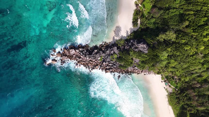 Aerial view of a turquoise beach with a treelined shoreline