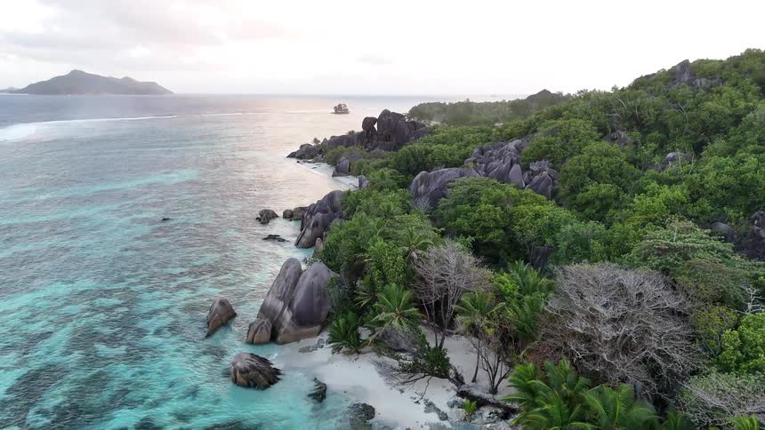 Palm trees cover the tropical island