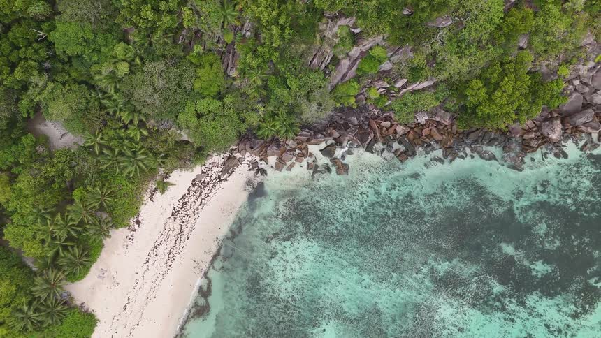 A dense tropical forest borders a rocky coastline with turquoise waters and a strip of white sand near the shore
