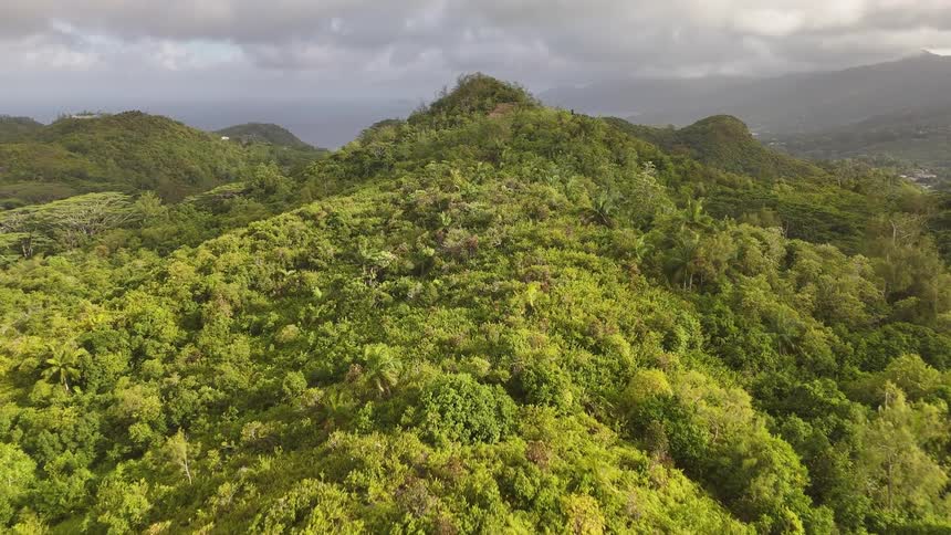 Dense green forests climb steep mountains under a cloudy sky forming a rugged and overgrown landscape