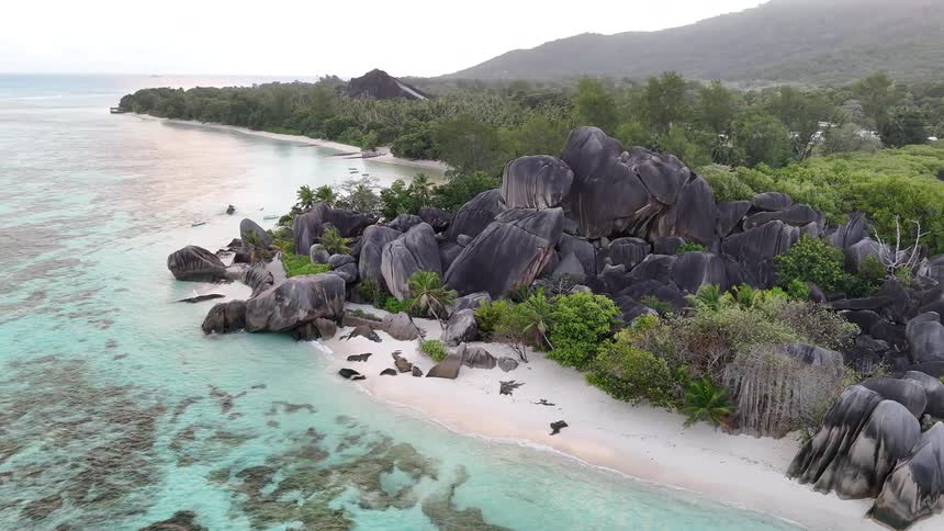 A shoreline with a rocky beach lined with green vegetation