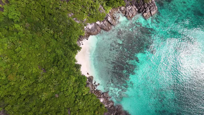 Aerial view of a beach with turquoise waters in a tropical region