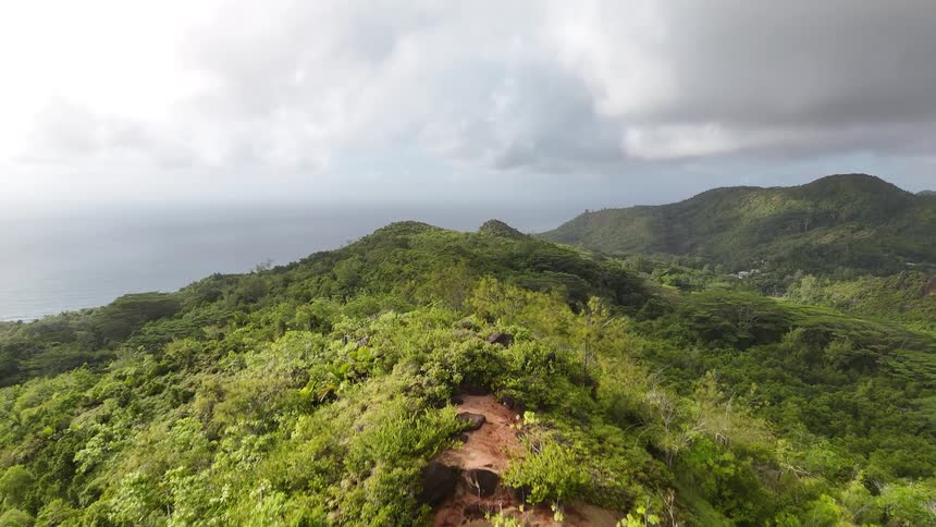 Aerial of a mountain covered with lush green vegetation during daytime