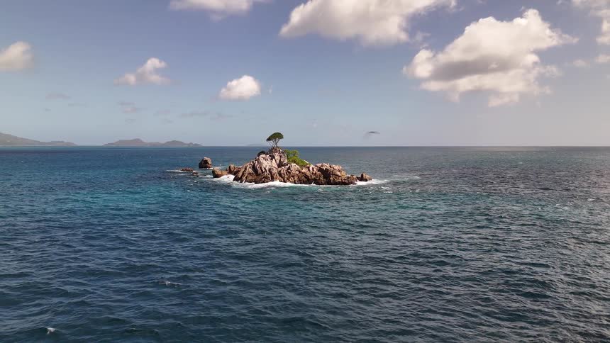 A tiny rocky island with one tree in a calm blue ocean