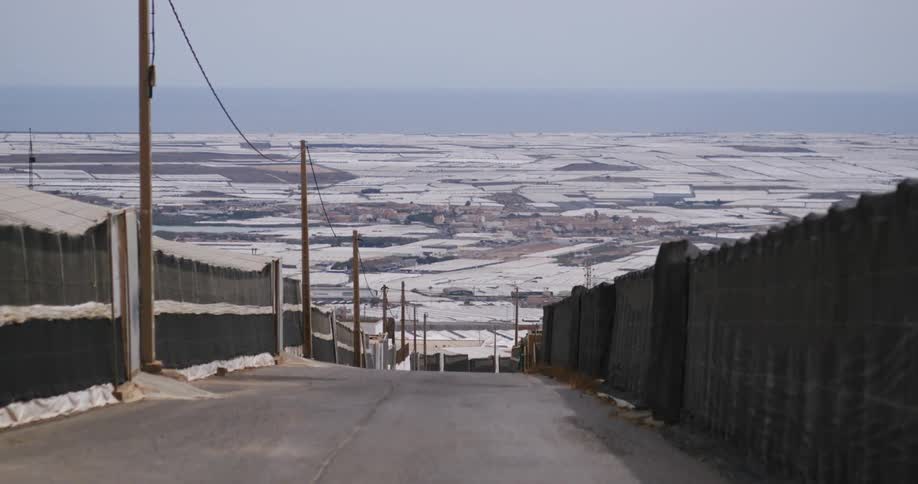 A paved road flanked by metal fences slopes toward flat agricultural fields with the ocean stretching across the distant horizon