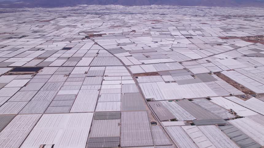 A vast landscape of greenhouses stretches across the terrain in a geometric patchwork beneath a hazy sky