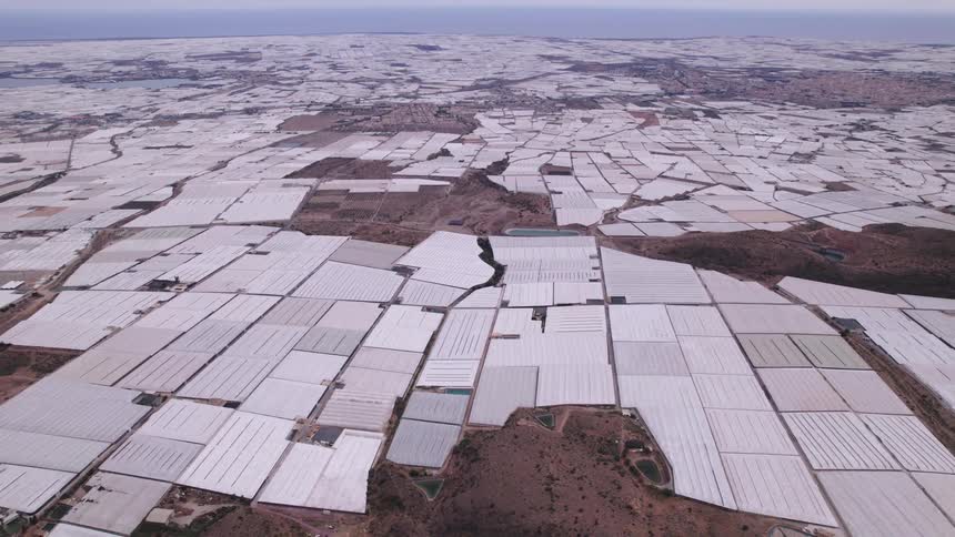 Aerial panorama of fields with white tarps and the sea in the background