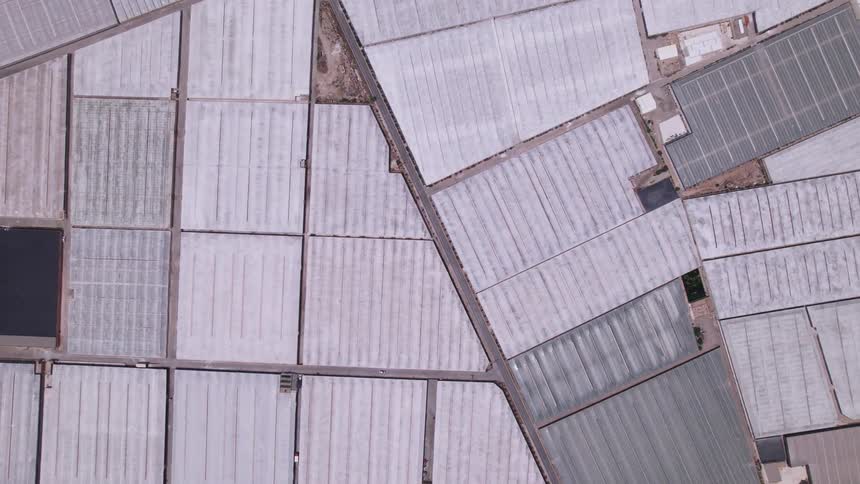 A patchwork of rectangular greenhouses spreads across open land separated by narrow paths and dotted with small structures