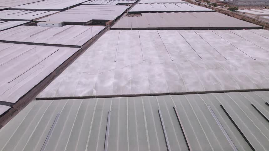 A wide expanse of land filled with greenhouses