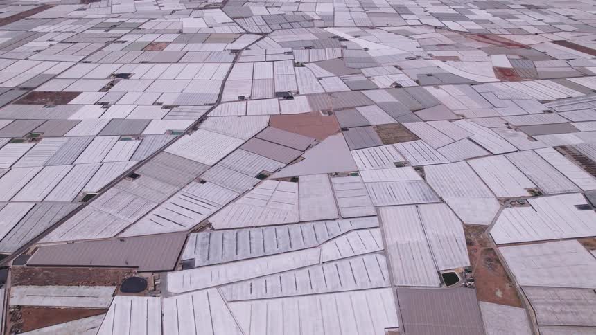 Aerial view of vast greenhouses on flat farmland with distant mountains