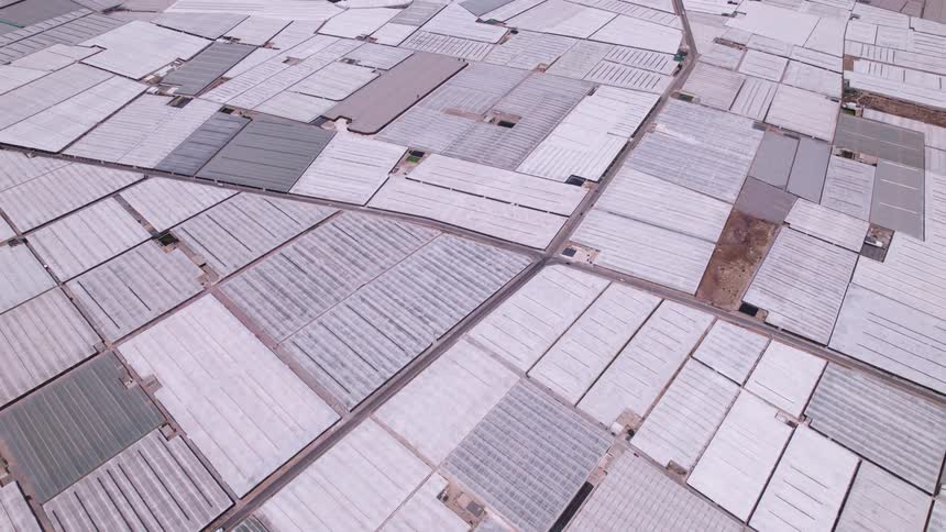 White roofed greenhouses stretch across flat terrain bordered by a water channel and bisected by straight dirt roads