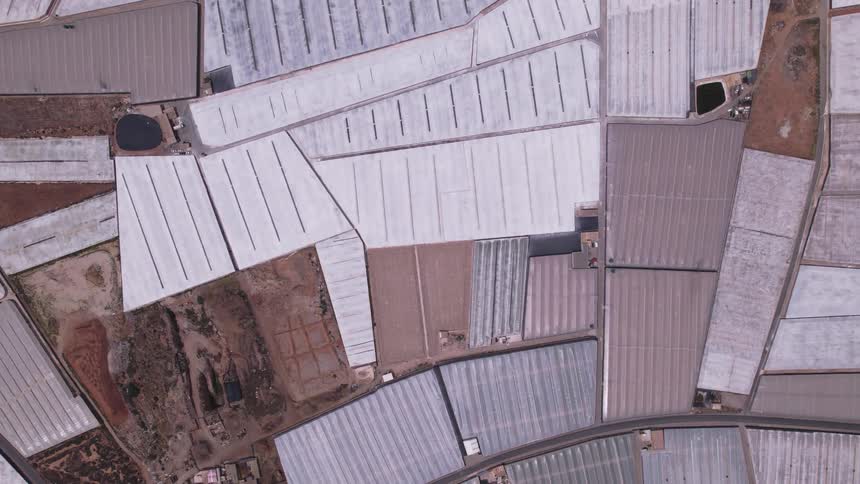 Aerial view of a sprawling agricultural zone with rows of whiteroofed greenhouses arranged in geometric patterns
