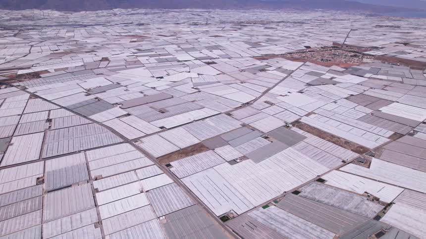 A solar field filled with a series of solar panels