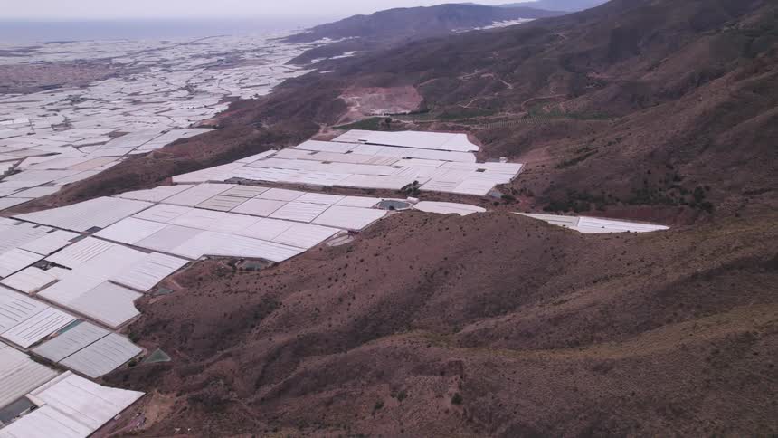 White plasticcovered greenhouses blanket a vast patch of farmland in a dry region segmented by dirt roads and scattered trees