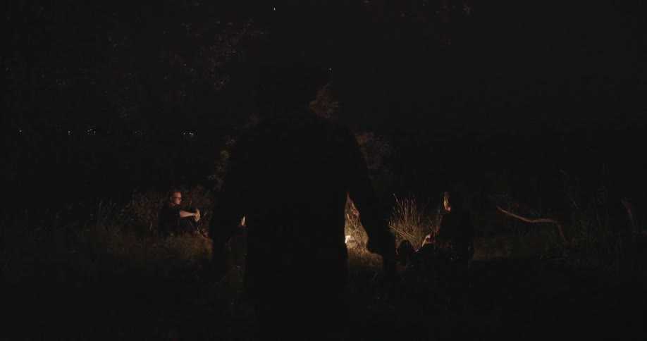 People gathered around a campfire