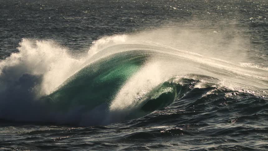 A large wave curves sharply as it breaks with thick white foam cresting and sunlight reflecting off its rough surface