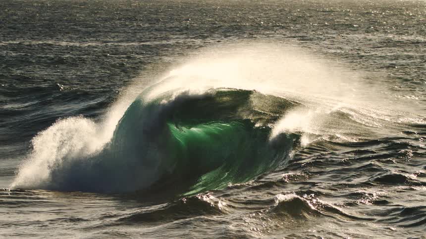 A large wave curves sharply as it breaks with thick white foam cresting and sunlight reflecting off its rough surface